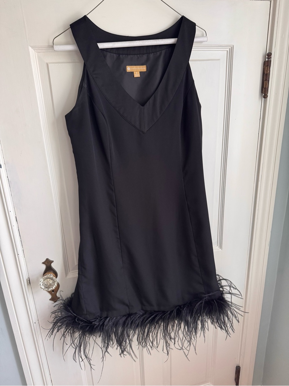 Target Black V-Neck Sleeveless Mini Dress with Feather Trim